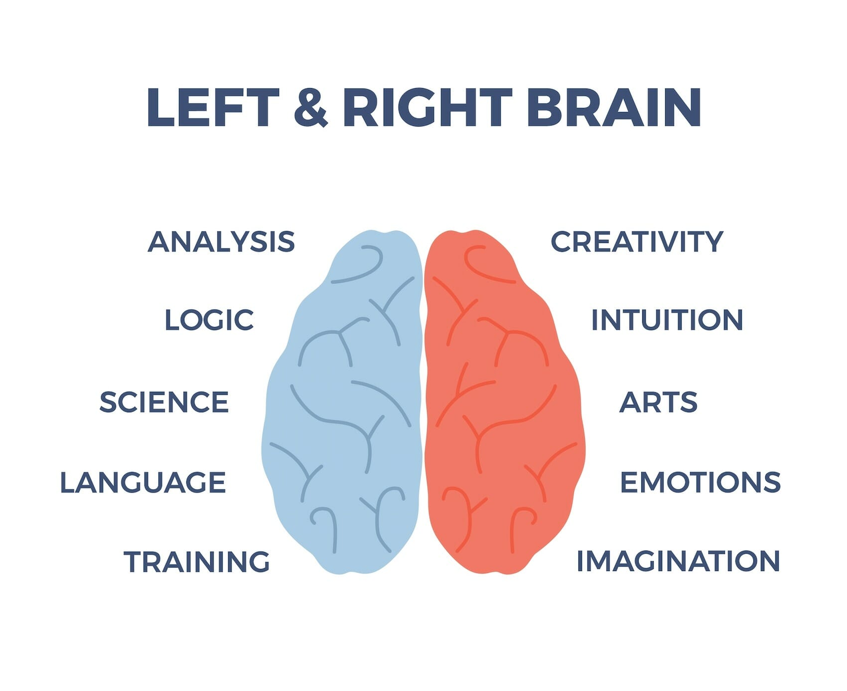 Example of assessing brain-behavior functioning with neuropsychological tests