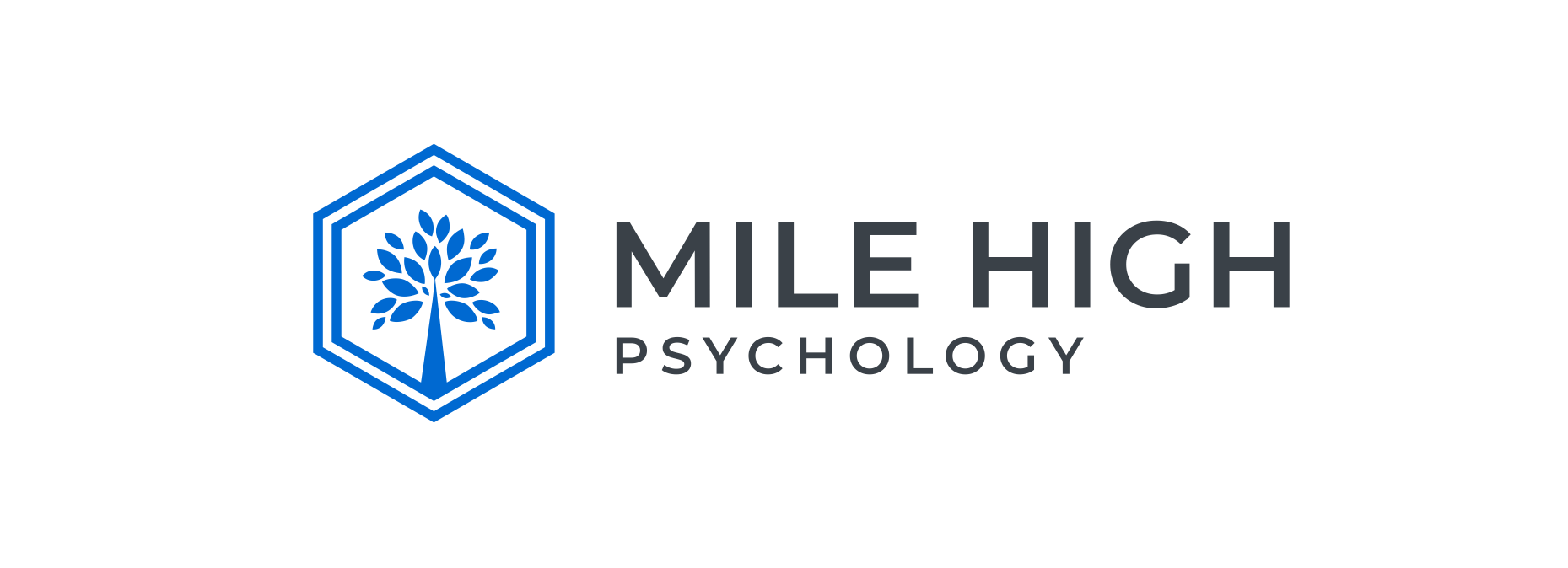 Mile High Psychology logo used in the top menu of company website